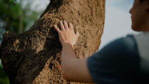 persona tocando un árbol con la mano